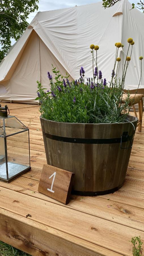Green Glamping ซันเดอร์เบิร์ก ภายนอก รูปภาพ